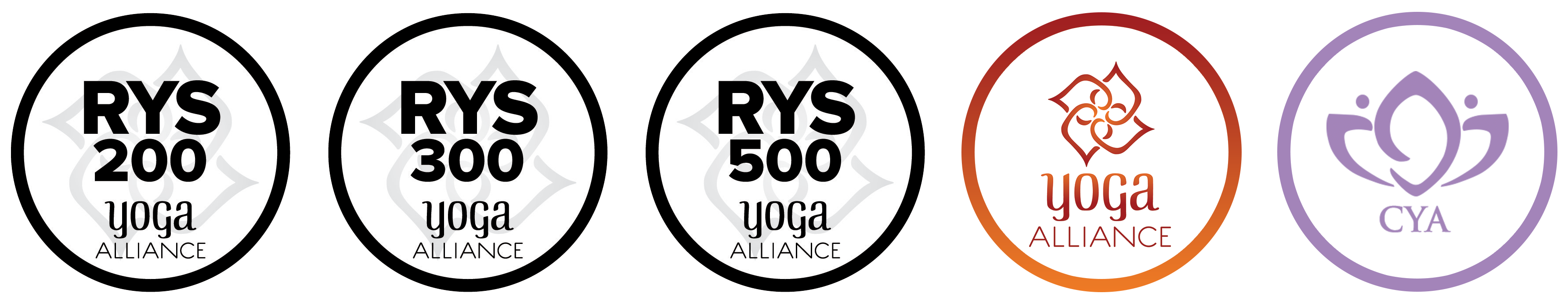 200 hours yoga teacher training